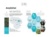 Komunikacijos teorijos verslui - Anykščiai 4 puslapis