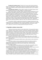 Automobilių aušinimo sistemos 2 puslapis