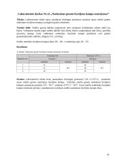 Gruntų mechanikos laboratoriniai darbai 17 puslapis