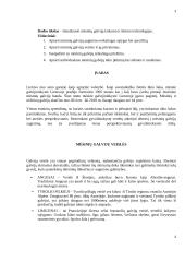 Mėsinių galvijų laikymo ir šėrimo technologija ūkyje 2 puslapis