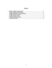 Automobilių įranga: Honda Civic VTi 2 puslapis