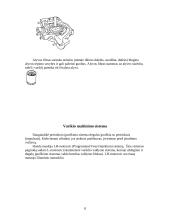 Automobilių įranga: Honda Civic VTi 8 puslapis