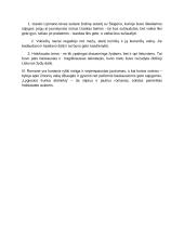 Holokausto tema Icchoko Mero romane „Lygiosios trunka akimirką“ - kalba su planu 3 puslapis