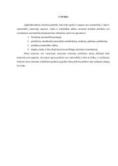 Automobilių paruošimas ir jų eksploatacijos ypatumai žiemos sąlygomis 9 puslapis