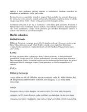 Latvijos ir Didžiosios Britanijos palyginimas per verslo prizmę 3 puslapis