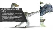 Dinosaurs - presentation 7 puslapis