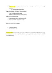 Sutartis. Konspektas 2 puslapis