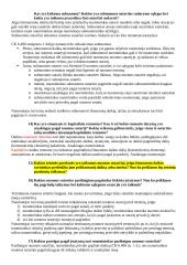 Nuomos sutartis. Lizingas (finansinė nuoma) 4 puslapis