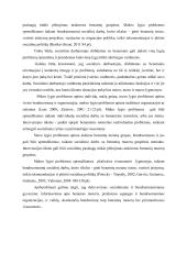 Socialinė pagalbos teikimas moterims nakvynės namuose 16 puslapis