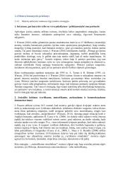 Socialinė pagalbos teikimas moterims nakvynės namuose 19 puslapis