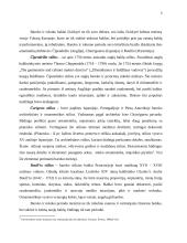 Baroko ir rokoko baldų formų ir dekoro analizė 5 puslapis
