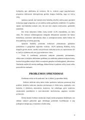 Bedarbių mokymas Lietuvoje 4 puslapis