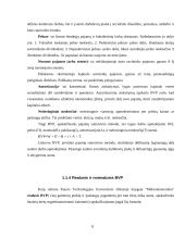 Bendrasis vidaus produktas ir jo apskaičiavimo metodai 8 puslapis