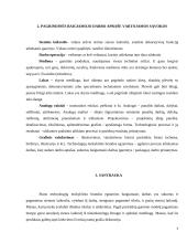 Technologijų brandos egzamino darbo aprašas - laikrodis 3 puslapis