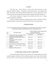 Technologijų brandos egzamino darbo aprašas - laikrodis 4 puslapis