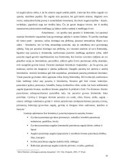 Biotiniai veiksniai 10 puslapis