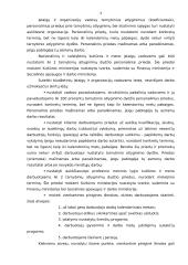 Biudžetinės įmonės samprata 3 puslapis