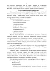 Biudžetinės įmonės samprata 4 puslapis