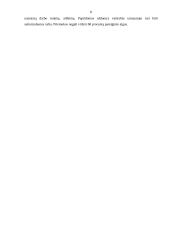 Biudžetinės įmonės samprata 6 puslapis