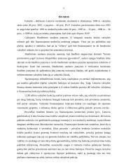 Biudžetinės įmonės samprata 7 puslapis