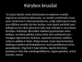 Juozas Aputis - skaidrės 3 puslapis