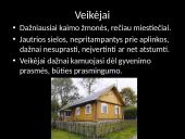 Juozas Aputis - skaidrės 8 puslapis