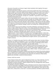 Brolių Liumjerų kinas 2 puslapis