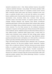 Buhalterinė apskaita 4 puslapis