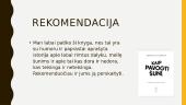Knygos pristatymas 8 puslapis