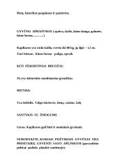 Kapibara - gyvūno pasas 2 puslapis