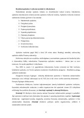 Buhalterinės apskaitos kontrolinis 8 puslapis