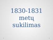  1830-1831 sukilimas. Testas su atsakymais