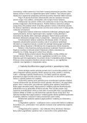 Buhalterinės apskaitos teoriniai pagrindai 2 puslapis
