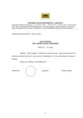 Charakteristika ir veiklos dokumentai: UAB "Lidgena" 16 puslapis