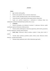 Charakteristika ir veiklos dokumentai: UAB "Lidgena" 3 puslapis