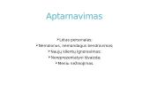 Maitinimo įstaigos marketinginė problema 5 puslapis