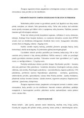 Cheminė maisto tarša 4 puslapis