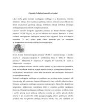 Chemiškai pavojingų objektų avarijos 5 puslapis