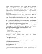 Chemiškai pavojingų objektų avarijos 6 puslapis