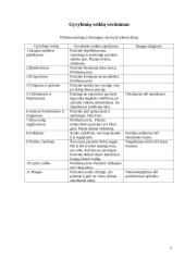 Chirurgijos protokolas 3 puslapis