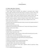 Bendrieji civilinės saugos klausimai 6 puslapis