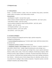 Bendrieji civilinės saugos klausimai 7 puslapis