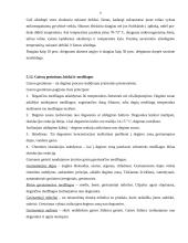 Bendrieji civilinės saugos klausimai 8 puslapis