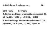 Bazės aplink mus 12 puslapis