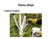 Bazės aplink mus 4 puslapis