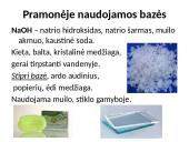 Bazės aplink mus 6 puslapis