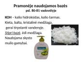 Bazės aplink mus 7 puslapis