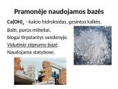 Bazės aplink mus 8 puslapis