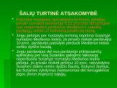 Teismai medienos prekybos srityje 11 puslapis