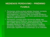 Teismai medienos prekybos srityje 5 puslapis